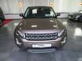 Land Rover Range Rover Evoque 2.2 Sd4 AWD Automatik "Pure" Beige - thumbnail 2