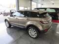 Land Rover Range Rover Evoque 2.2 Sd4 AWD Automatik "Pure" Beige - thumbnail 5