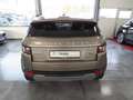 Land Rover Range Rover Evoque 2.2 Sd4 AWD Automatik "Pure" Beige - thumbnail 6