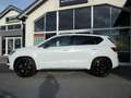 CUPRA Ateca ATECA EDITION VZ 2.0 TSI  DSG 4DRIVE NAVI SITZH. Blanc - thumbnail 12