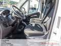 Fiat Ducato E- Ducato 47 kWh L5H3  *Schnelladeanschluß* Blanc - thumbnail 11
