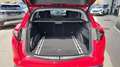 Alfa Romeo Stelvio Magnifica 2,2 ATX AWD Rot - thumbnail 38