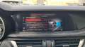 Alfa Romeo Stelvio Magnifica 2,2 ATX AWD Rot - thumbnail 26