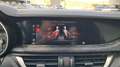 Alfa Romeo Stelvio Magnifica 2,2 ATX AWD Rot - thumbnail 30