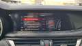 Alfa Romeo Stelvio Magnifica 2,2 ATX AWD Rot - thumbnail 27