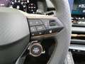 CUPRA Terramar VZ 2.0 TSI 265 PS DSG 4Drive Grau - thumbnail 34