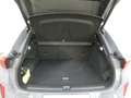 CUPRA Terramar VZ 2.0 TSI 265 PS DSG 4Drive Grau - thumbnail 13