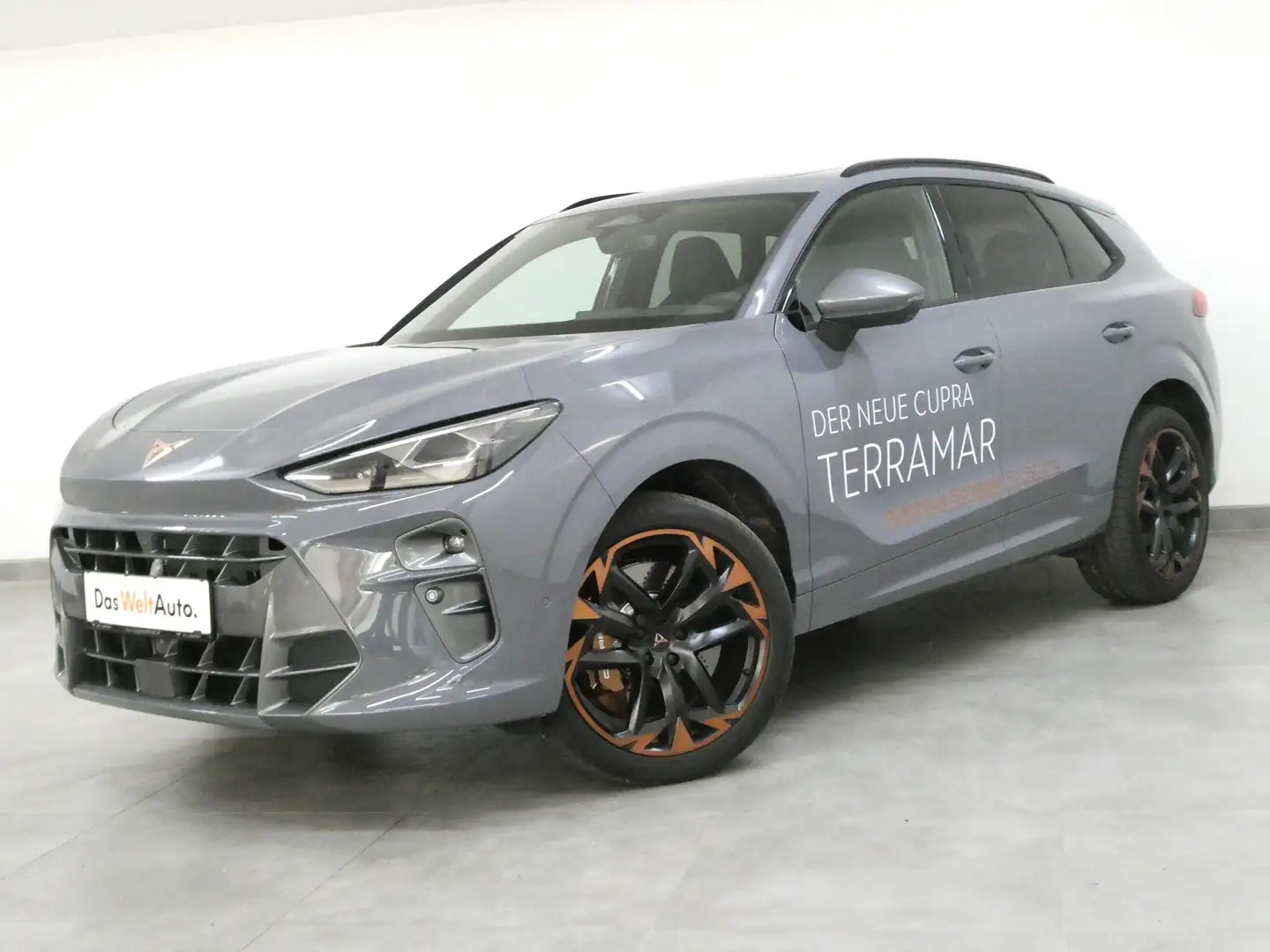 CUPRA Terramar VZ 2.0 TSI 265 PS DSG 4Drive Grau - 1