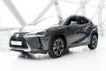 Lexus UX 250h Business Line | BTW-Auto | Carplay | Adaptive Crui Grau - thumbnail 34