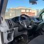 Ford Transit 350 L3 2.0 TDCI CASSONE 3 POSTI RG - 2017 Bianco - thumbnail 12