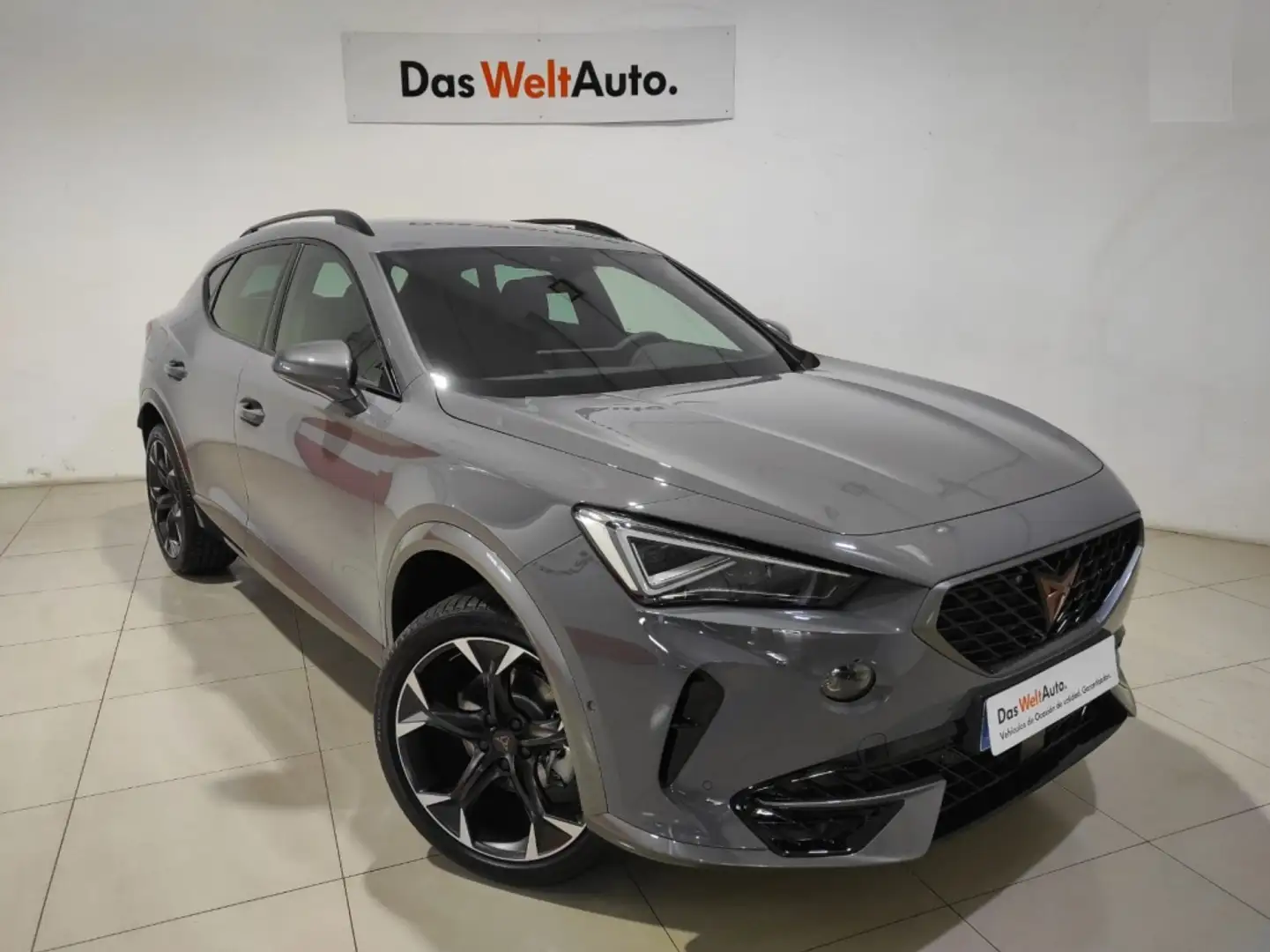 CUPRA Formentor 1.5 TSI 150 Gris - 1