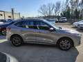 Ford Kuga Kuga 1.5 ecoblue ST-Line 2wd 120cv auto Gris - thumbnail 4