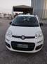 Fiat Panda Bianco - thumbnail 3