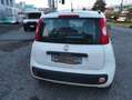 Fiat Panda Bianco - thumbnail 1