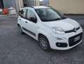 Fiat Panda Bianco - thumbnail 5