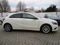 Mercedes-Benz A 180 CDI *Unfallfrei*Kamera*Lichtpaket Weiß - thumbnail 25