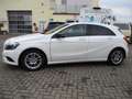 Mercedes-Benz A 180 CDI *Unfallfrei*Kamera*Lichtpaket Weiß - thumbnail 3