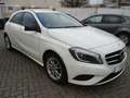 Mercedes-Benz A 180 CDI *Unfallfrei*Kamera*Lichtpaket Weiß - thumbnail 2