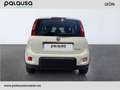 Fiat Panda 1.0 Hybrid 51kW Pack Comfort Plus Bílá - thumbnail 5