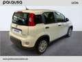 Fiat Panda 1.0 Hybrid 51kW Pack Comfort Plus Blanco - thumbnail 11