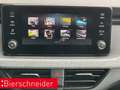 Skoda Kamiq 1.0 TSI Tour MATRIX LED KAMERA SITZHEIZUNG Grau - thumbnail 20