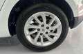 Renault Megane Limited dCi 110 eco2 - thumbnail 12