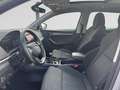 Skoda Karoq Karoq Style 2,0 TDI 85 kW 6-speed mech. Grigio - thumbnail 12