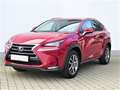 Lexus NX 300 300h E-FOUR Executive-Line Roşu - thumbnail 1