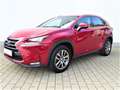 Lexus NX 300 300h E-FOUR Executive-Line Roşu - thumbnail 2