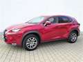 Lexus NX 300 300h E-FOUR Executive-Line Roşu - thumbnail 3