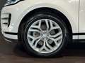 Land Rover Range Rover Evoque 2.0D I4 163 CV AWD Auto R-Dynamic SE Bianco - thumbnail 8