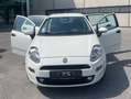 Fiat Punto Punto 1,3 Multijet Weiß - thumbnail 21
