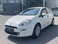 Fiat Punto Punto 1,3 Multijet Weiß - thumbnail 3
