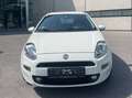 Fiat Punto Punto 1,3 Multijet Weiß - thumbnail 2