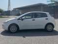 Fiat Punto Punto 1,3 Multijet Weiß - thumbnail 8