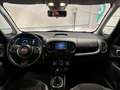 Fiat 500L 1.4 95cv S&S Cross Rood - thumbnail 8
