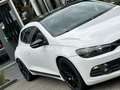 Volkswagen Scirocco 2.0 TSI Wit - thumbnail 6