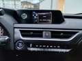 Lexus UX 250h Business 2WD Blanco - thumbnail 25