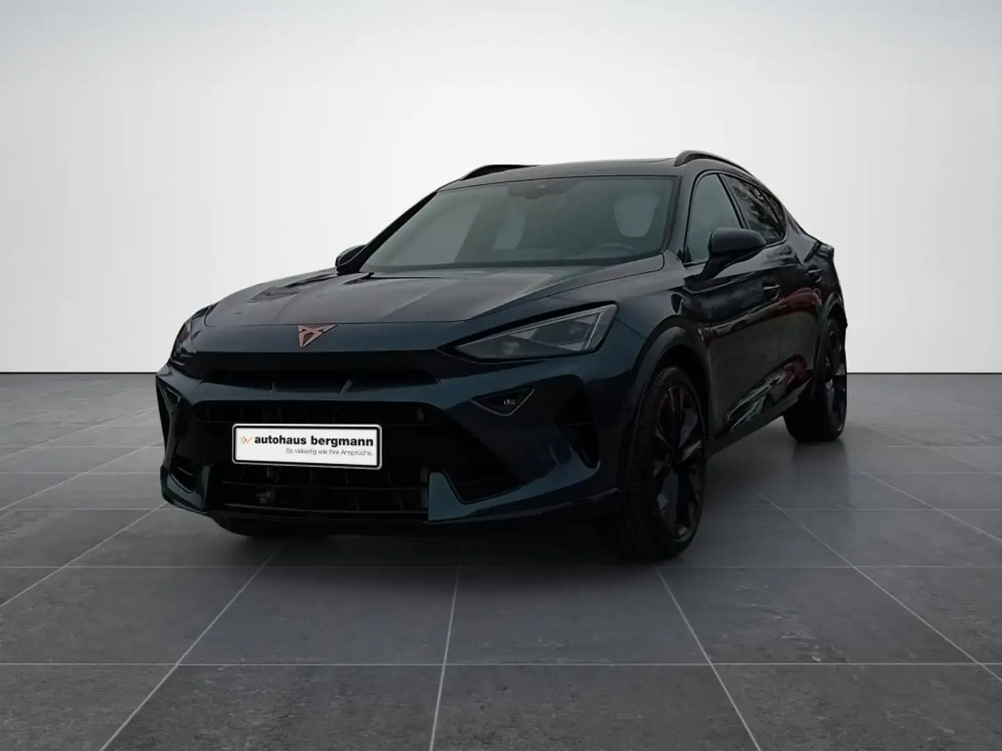 CUPRA Formentor 2.0 TSI 4X4 DSG VZ*AHK*Pano*Akrapovic* Grau - 1