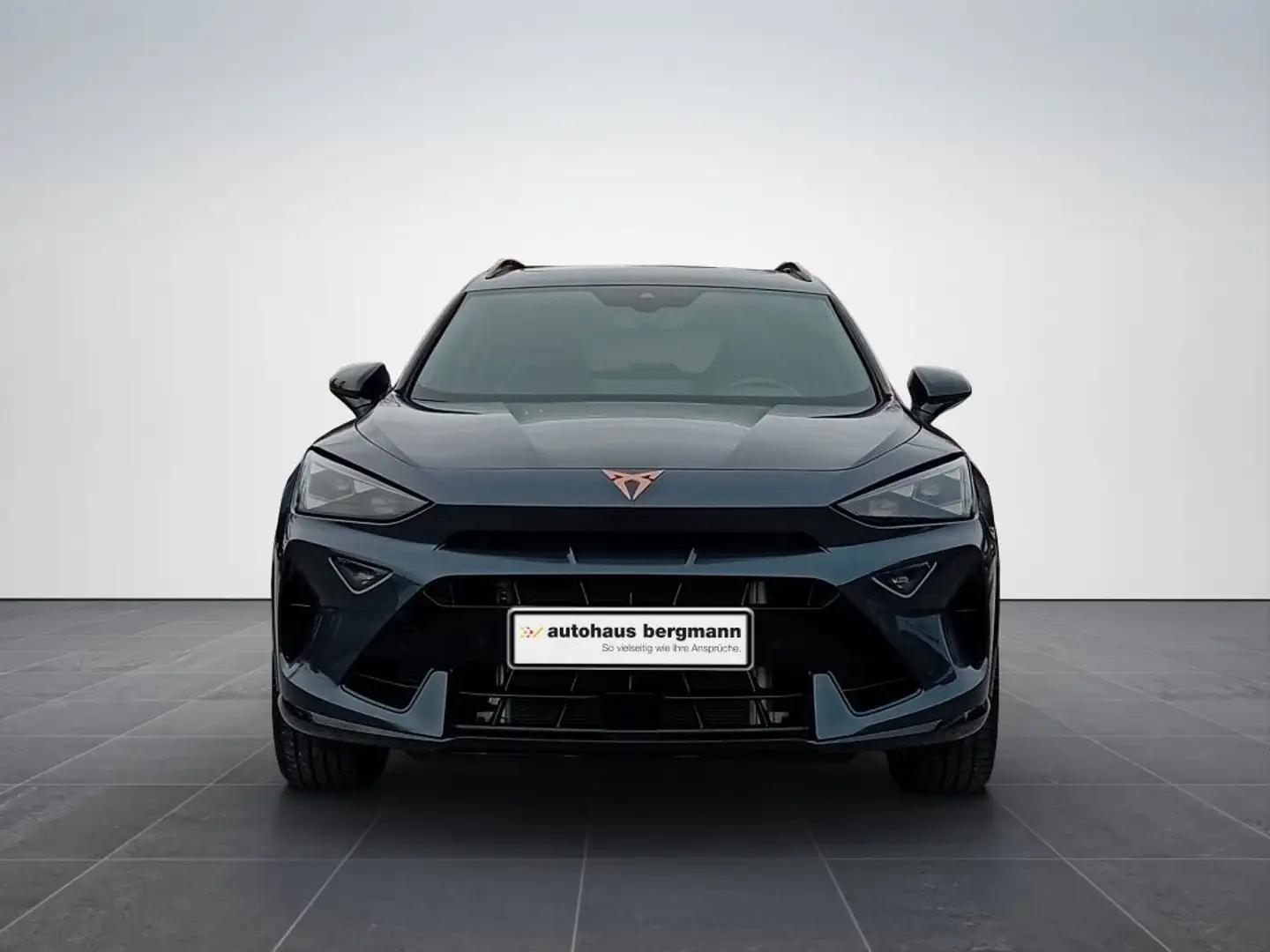 CUPRA Formentor 2.0 TSI 4X4 DSG VZ*AHK*Pano*Akrapovic* Grau - 2
