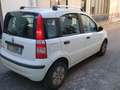 Fiat Panda 1.1 Actual - thumbnail 2