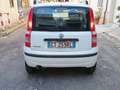 Fiat Panda 1.1 Actual - thumbnail 3