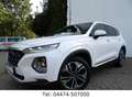 Hyundai SANTA FE Premium 4WD Kamera DAB+ Head-up Weiß - thumbnail 1