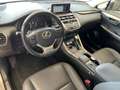Lexus NX 300 NX Hybrid Executive Grigio - thumbnail 7