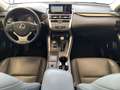 Lexus NX 300 NX Hybrid Executive Grigio - thumbnail 12