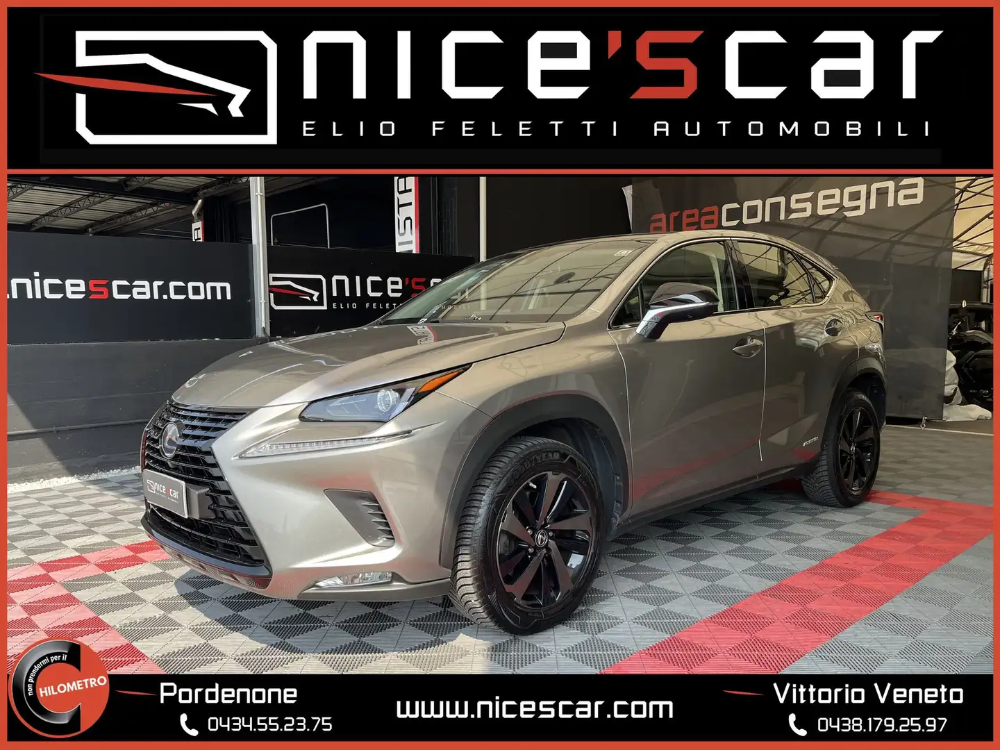 Lexus NX 300 NX Hybrid Executive Grigio - 1