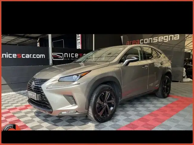 Lexus NX 300h NX Hybrid Executive