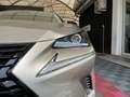 Lexus NX 300 NX Hybrid Executive Grigio - thumbnail 24