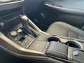 Lexus NX 300 NX Hybrid Executive Grigio - thumbnail 17