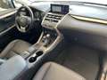 Lexus NX 300 NX Hybrid Executive Grigio - thumbnail 9